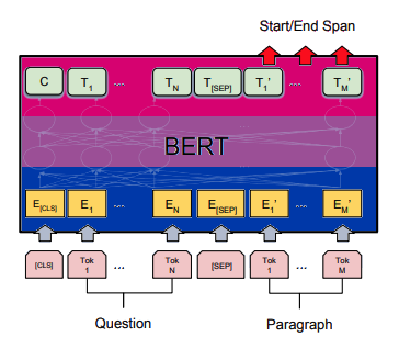 Bert is a Bi-encoder, meaning it goes both ways