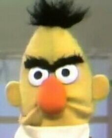 Cross Bert as in angry